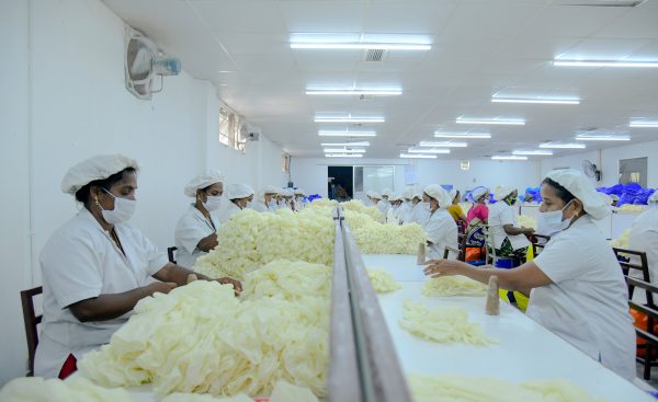 AQL for Glove Quality – Does It Matter?