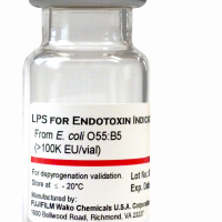 6 X HIGH CONCENTRATION LPS, >100, 000EU/VIAL-LPS_Vial_Transparent_jpg.png